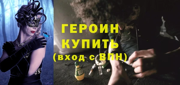 хмурый Аркадак