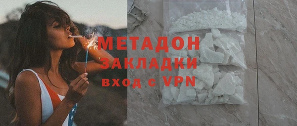 хмурый Аркадак