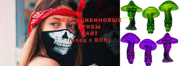 не бодяженный Арсеньев