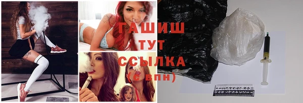 хмурый Аркадак