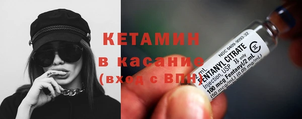 хмурый Аркадак