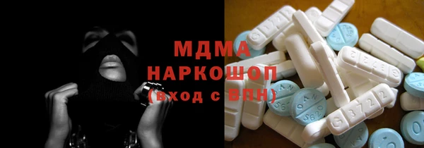 хмурый Аркадак