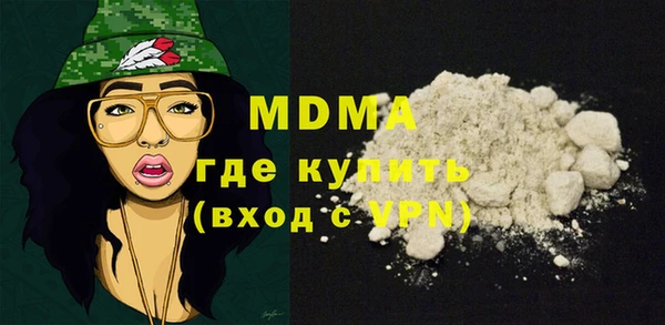 хмурый Аркадак