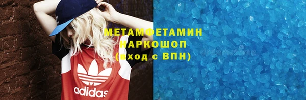 хмурый Аркадак